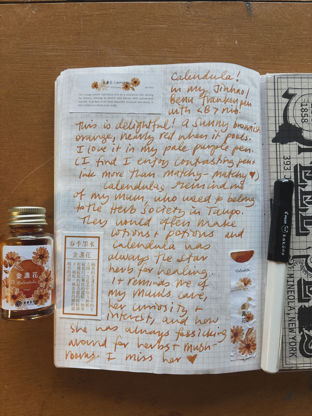 Notes from the study - sample writing in Calendula ink