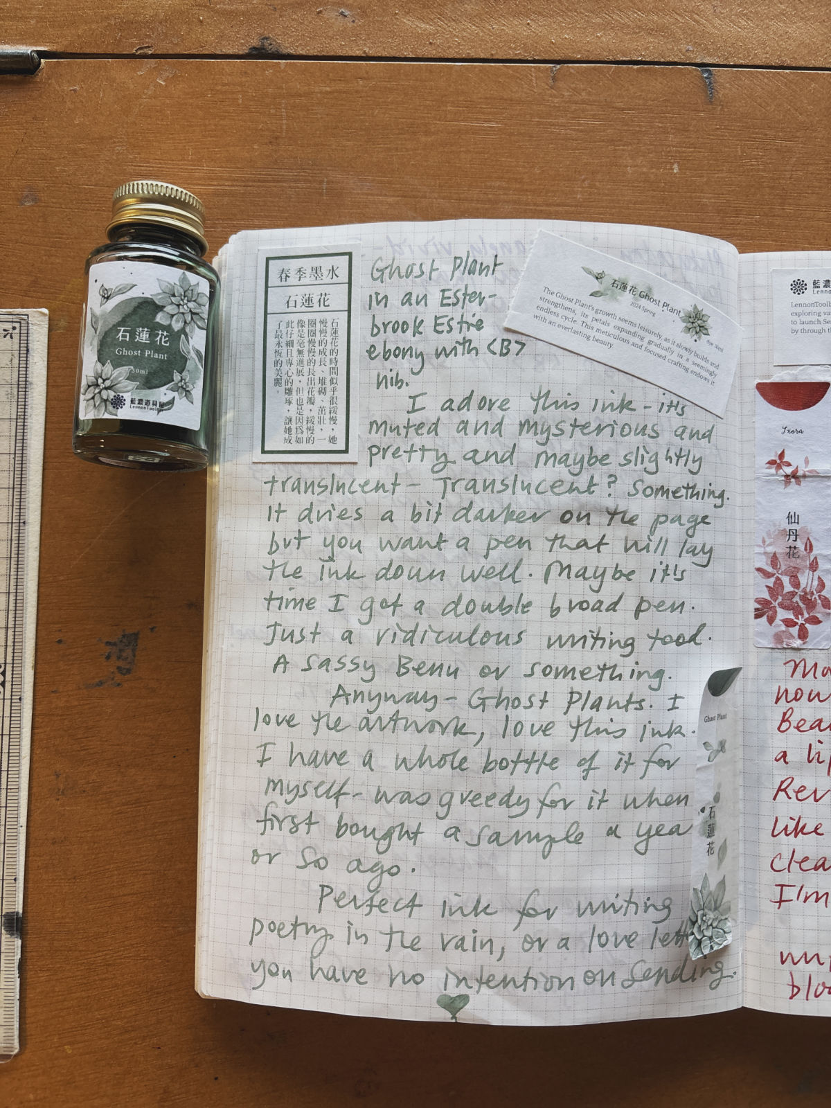 Notes from the study - sample writing in Ghost Plant ink