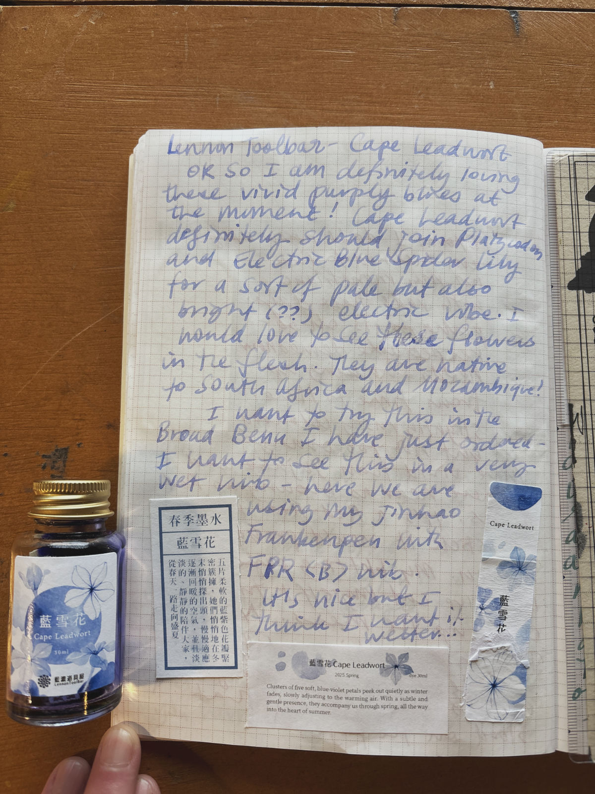 Notes from the study - sample writing in Cape Leadwort ink
