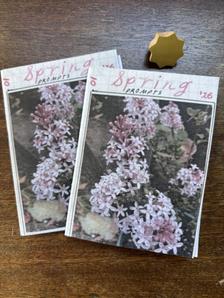 Spring 2026 zine by paper jam press